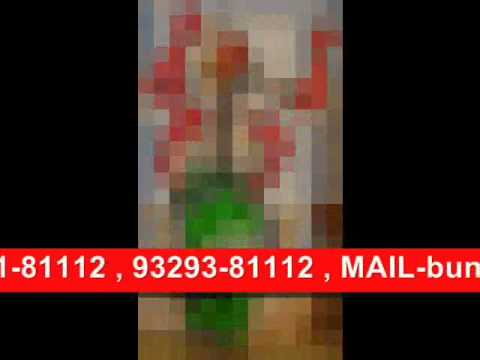 THEME PARTY (BEN-10 THEME) RAIPUR C.GCRAZY CHAPS EVENTS ORGANISER +919826181112