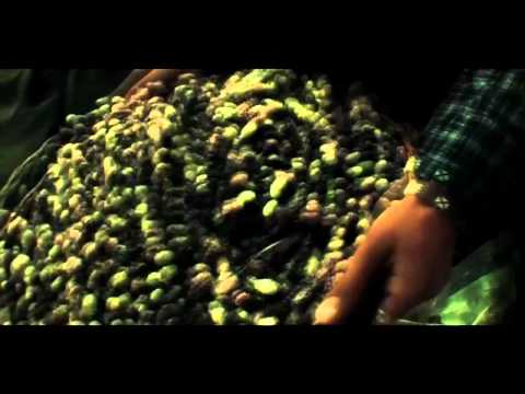 Ershad Aman - Qarsak Panjshir HD NEW QARSAK Afghan star