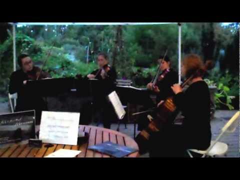 String Quartet, Masterful Musicians, Katy,Danica,Lizzy & Sarah,wedding sample, Denver Botanic Gardens Bridal Show 2011