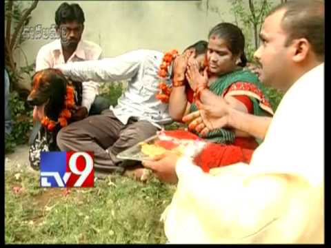 Wedding with dog turns fortunes? - Part 3 - Tv9