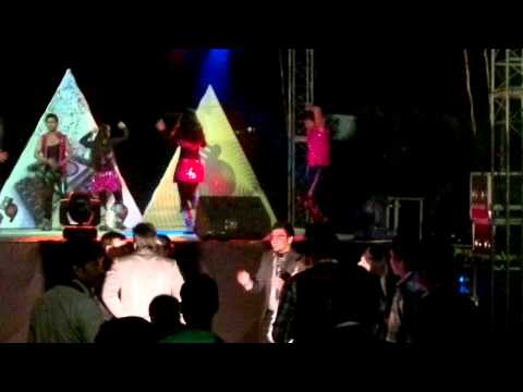 bollywood dance in wedding show SPIN69.com