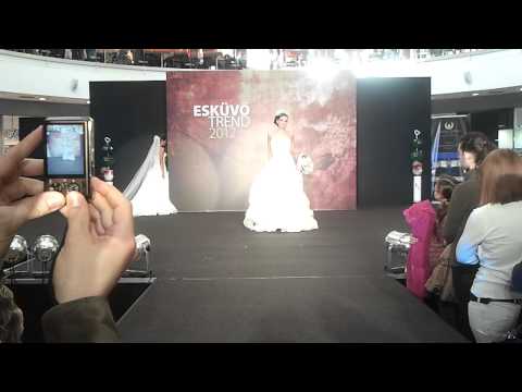 Wedding Dresses Show