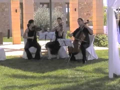 Rony B. feat. strings for wedding ceremony, reception and dinner