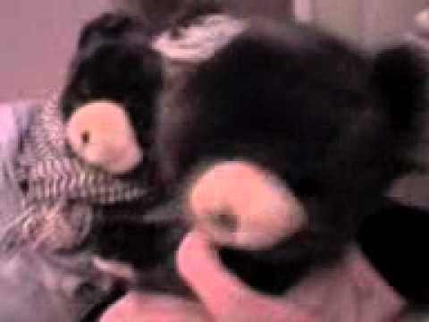 The GB Show - Episode 6 'The Wedding Day' (28-3-2009)