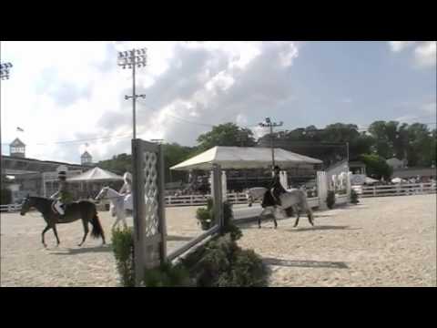 Devon 2011 Pony Hunt Team - The Wedding Crashers