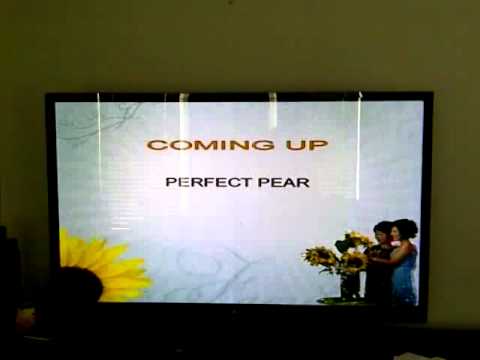 Perfect Pear Wedding Show on Daytime part 2