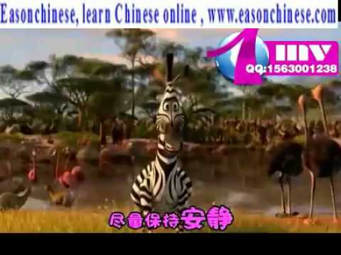1516 008animal star Funny Wedding Show opening 0 mov