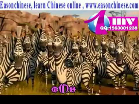 008animal star Funny Wedding Show opening 0 mov
