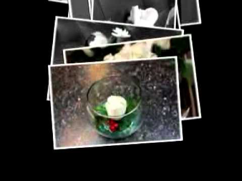Wedding Show 2011.mp4