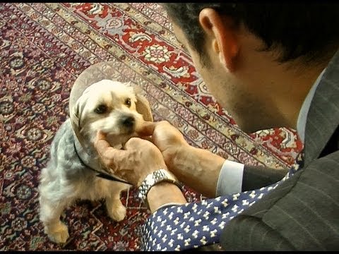 ALL ABOUT ZACHARY Vlog 8/30/12