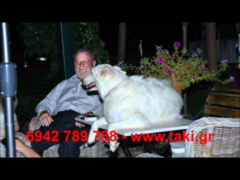 T@KIS wedding slide show - alexandros ioanna.wmv