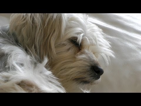 RELAX! Vlog 11/12/12