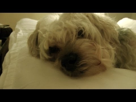 IT'S TIME TO GO TO SLEEP Vlog 11/28/12