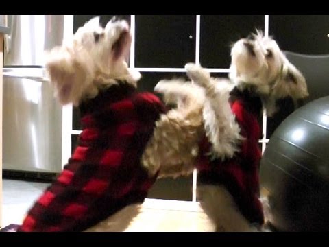 ITSJUDYTIME ITSJUDYSLIFE DANCEMBER VIDEO!!