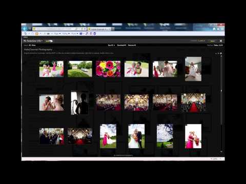 How to share favorites on HaleChannel.com