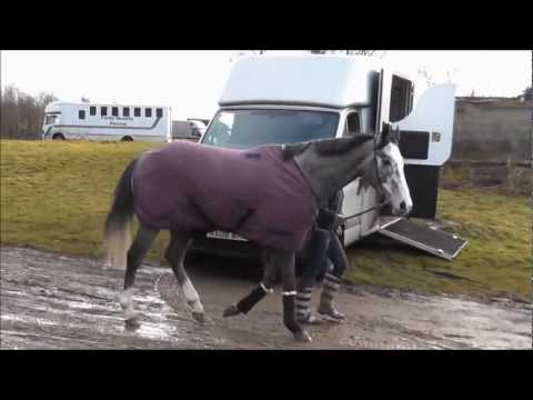 Las Verglas Star - Catterick 10th Jan 2013
